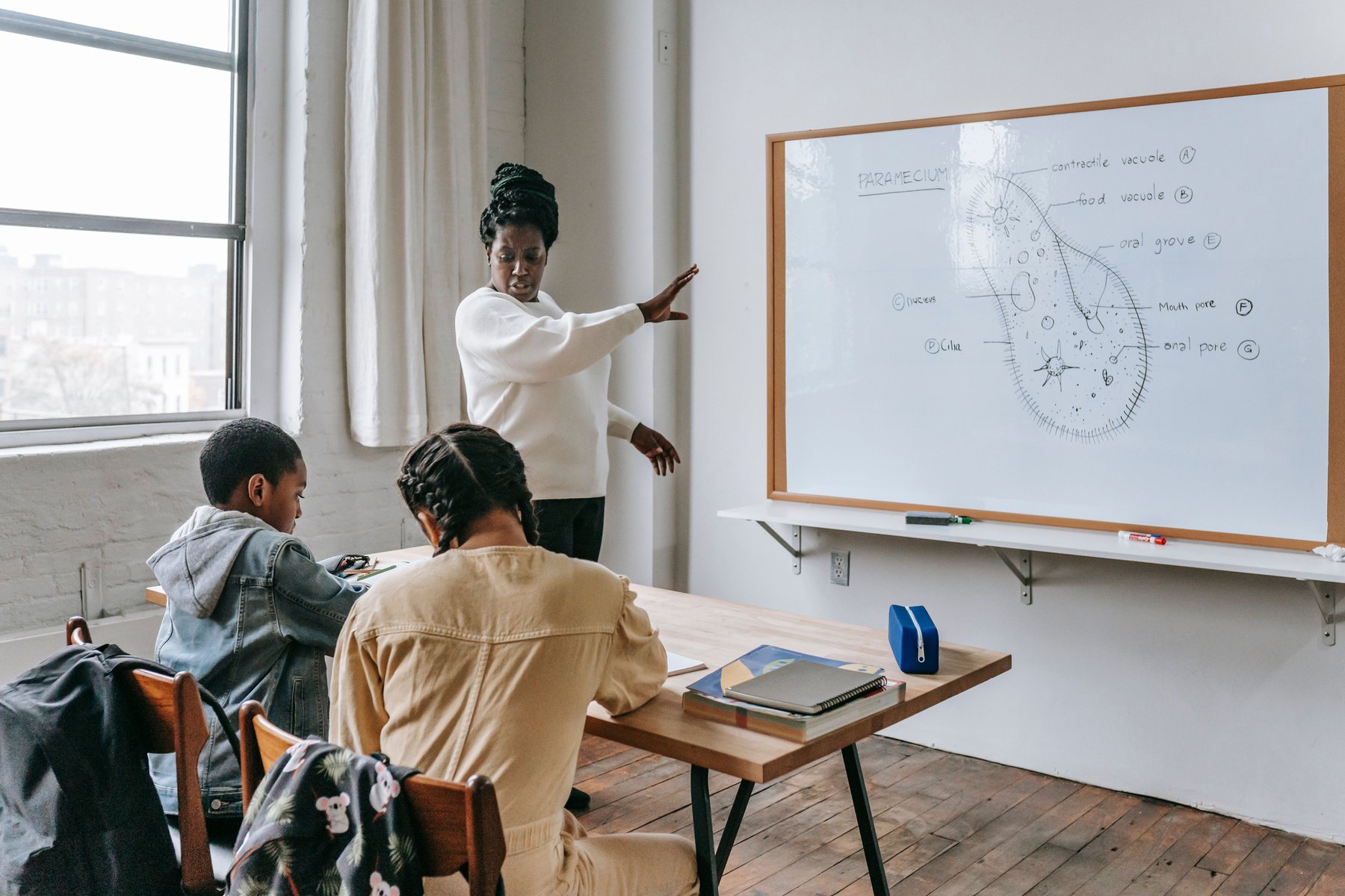 Teacher presenting to students